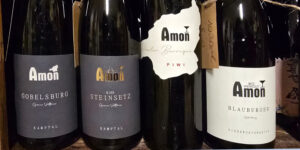 Weingut Amon - Bio aus Österreich