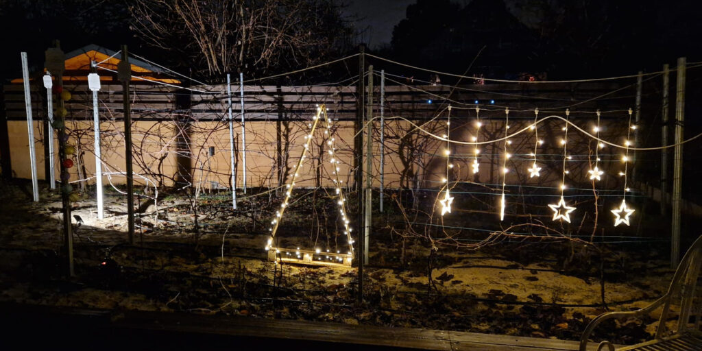 Weihnachten im Rebstockgarten bei Alla Vite.