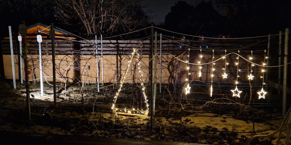 Weihnachtssaison im Rebstockgarten bei Alla Vite